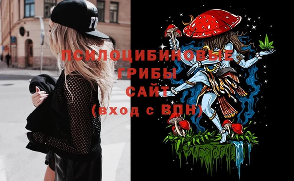 шишки Абдулино