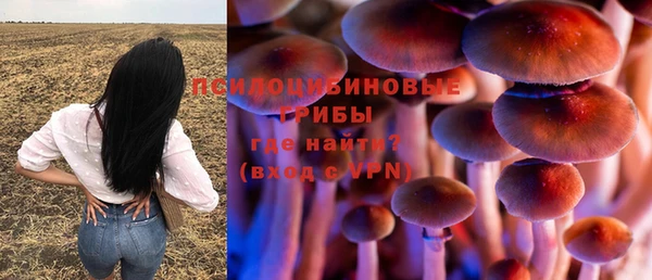 тгк Алзамай
