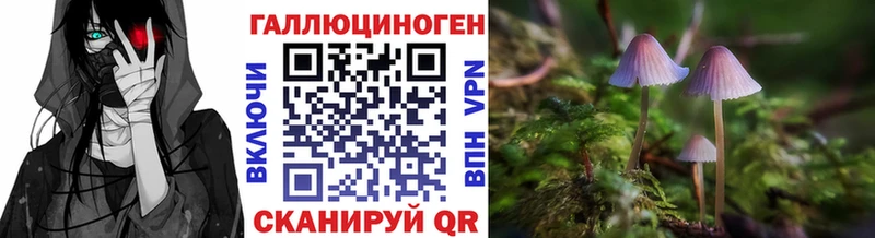 Псилоцибиновые грибы Psilocybine cubensis  магазин продажи наркотиков  дарк нет клад  Елизово 